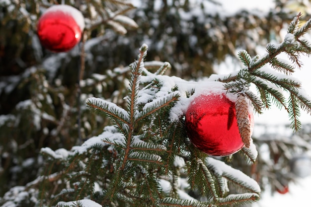 Árvore de natal com enfeites de bolas coloridas no inverno