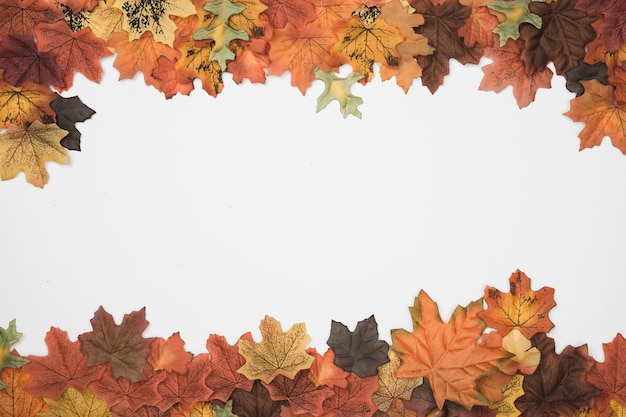 Foto grátis Árvore de outono deixa o padrão de quadro de lado superior