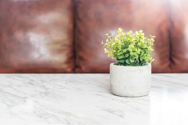 Árvore na decoração do pote na mesa na sala de estar