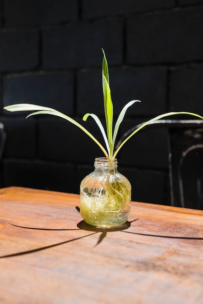 Árvore na decoração do pote na mesa