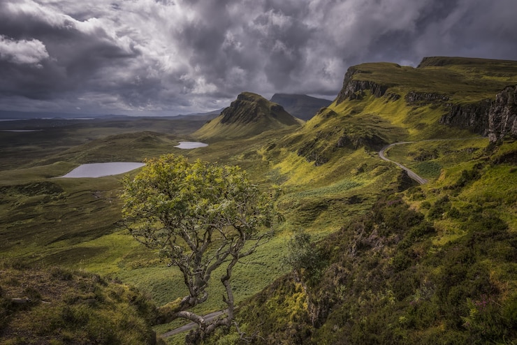Foto grátis árvore pequena nas montanhas em dia nublado
