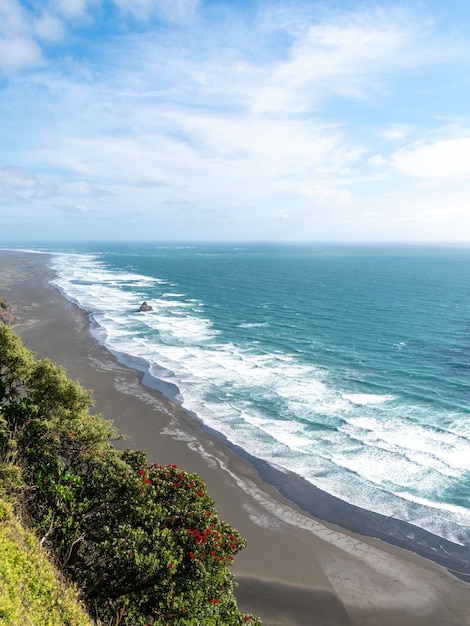 Árvore pohutukawa da praia karekare em primeiro plano