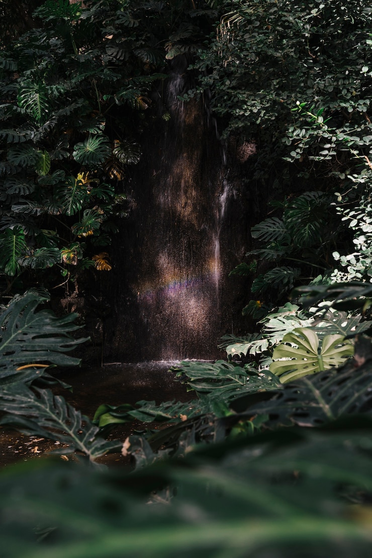 Foto grátis árvore verde escuro na floresta