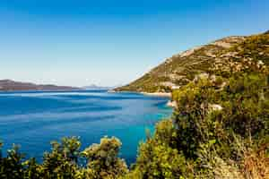 Foto grátis Árvores e montanhas perto do lago idílico