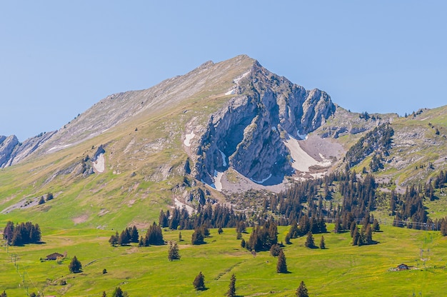 Foto grátis Árvores nas montanhas dos alpes suíços, suíça