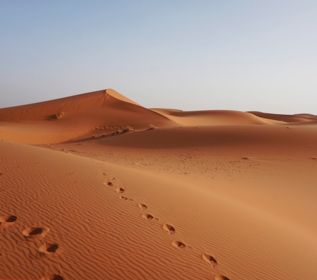 Foto grátis as dunas de erg chebbi, marrocos