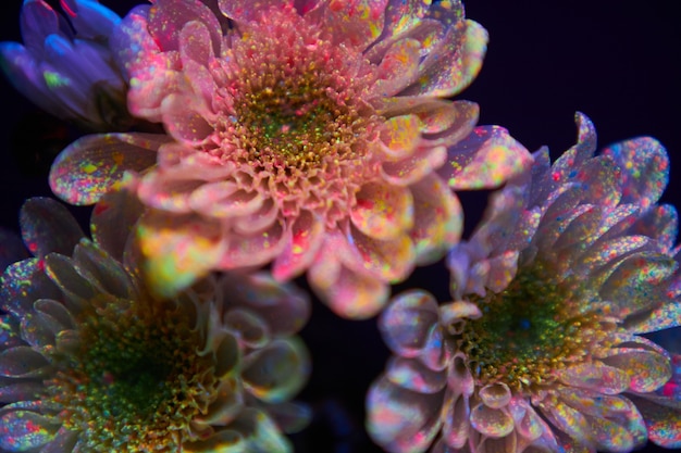 As flores nas gotas de tinta brilham na luz ultravioleta. cosméticos naturais de beleza