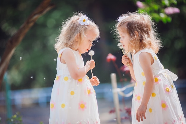 As meninas gêmeas soprando dentes de leão