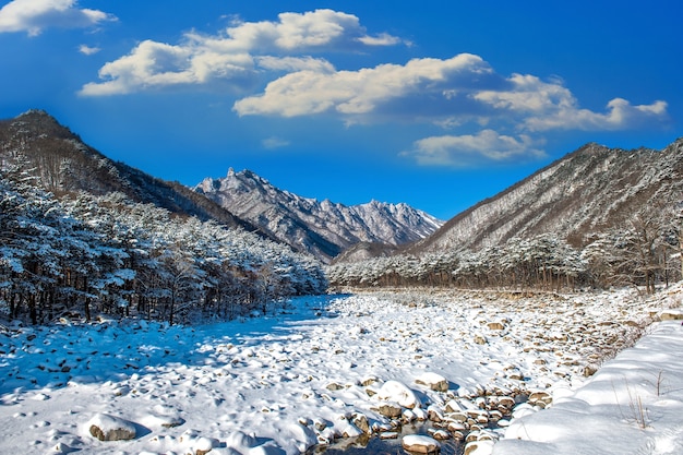 As montanhas Seoraksan são cobertas por neve no inverno, Coreia do Sul.