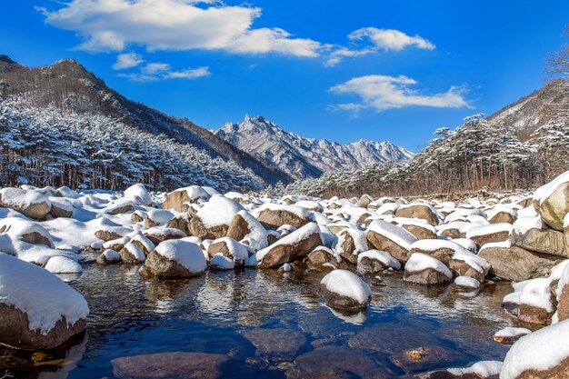 As montanhas Seoraksan são cobertas por neve no inverno, Coreia do Sul.