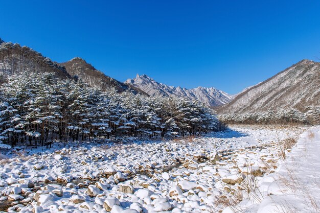 As montanhas Seoraksan são cobertas por neve no inverno, Coreia do Sul