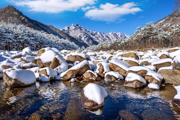 As montanhas Seoraksan são cobertas por neve no inverno, Coreia do Sul