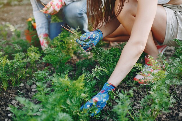 As mulheres bonitas trabalham em um jardim