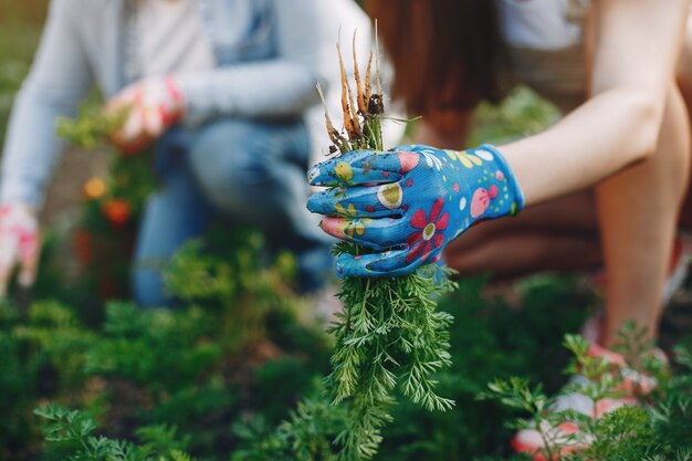 As mulheres bonitas trabalham em um jardim