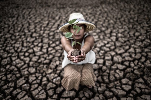 Foto grátis as mulheres estão sentadas segurando mudas em terra firme em um mundo em aquecimento.