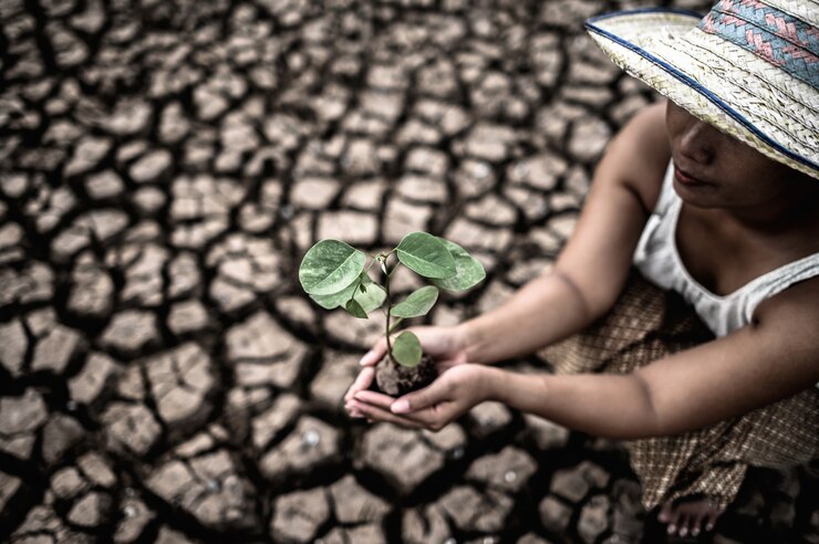 Foto grátis as mulheres estão sentadas segurando mudas em terra firme em um mundo em aquecimento.