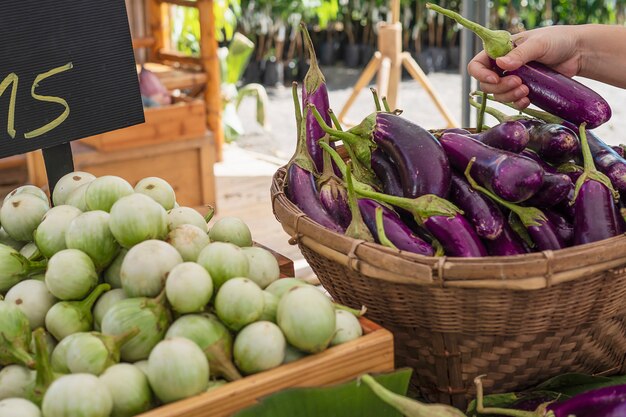 As pessoas compram berinjela fresca no mercado local - cliente no conceito de mercado de produtos hortícolas