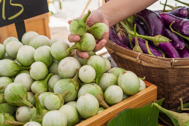 As pessoas compram berinjela fresca no mercado local - cliente no conceito de mercado de produtos hortícolas