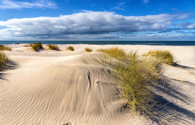 Foto grátis as praias desertas na primavera