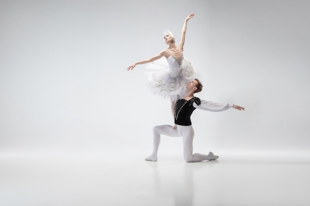 Asas. Graciosos dançarinos de balé clássico dançando isolado no fundo branco do estúdio. Casal com roupas brancas macias, como personagens de um cisne branco. O conceito de graça, artista, movimento, ação e movimento.