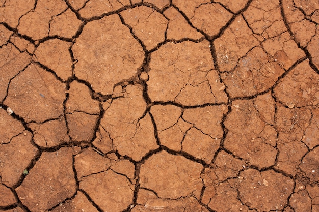 Assoalho seco do deserto