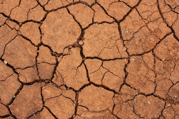 Assoalho seco do deserto