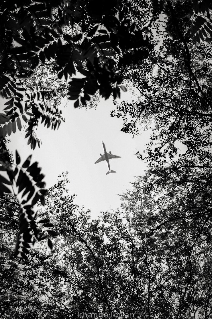 Foto grátis avião voando sobre uma floresta