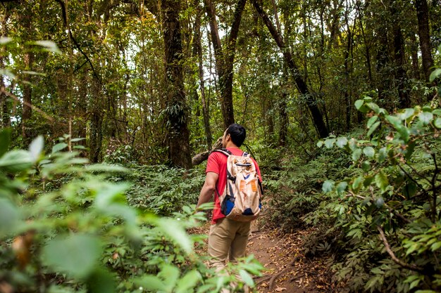 Backpacker em floresta selvagem