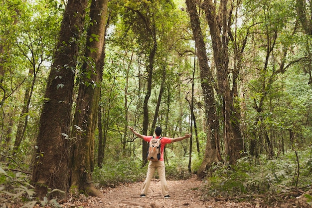 Foto grátis backpacker, esticar, braços