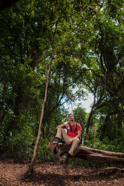 Backpacker, sentando, árvore, tronco, pensando