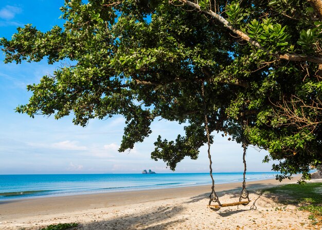 Balanço de madeira em uma árvore em uma praia tropical