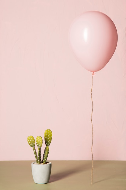 Balão rosa e cacto