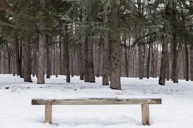 Banco de madeira vazio coberto de neve na floresta de inverno