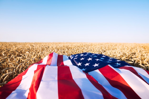 Bandeira americana no campo de trigo representando forte agricultura, economia e liberdade dos estados unidos da américa