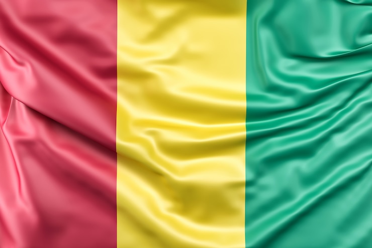 Foto grátis bandeira da guiné