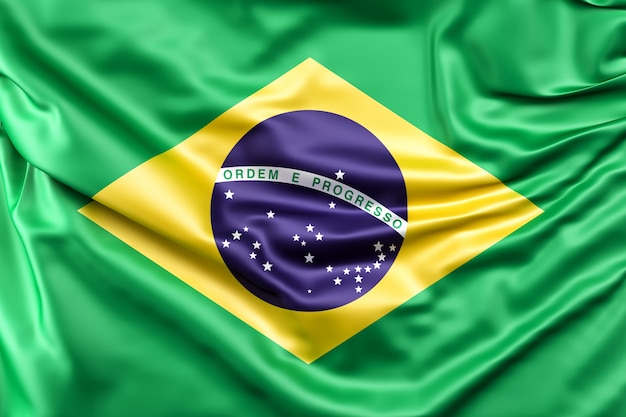 A mão feminina segura suavemente a pequena bandeira da república do brasil  elemento de design de férias vetor de desenhos animados em fundo branco