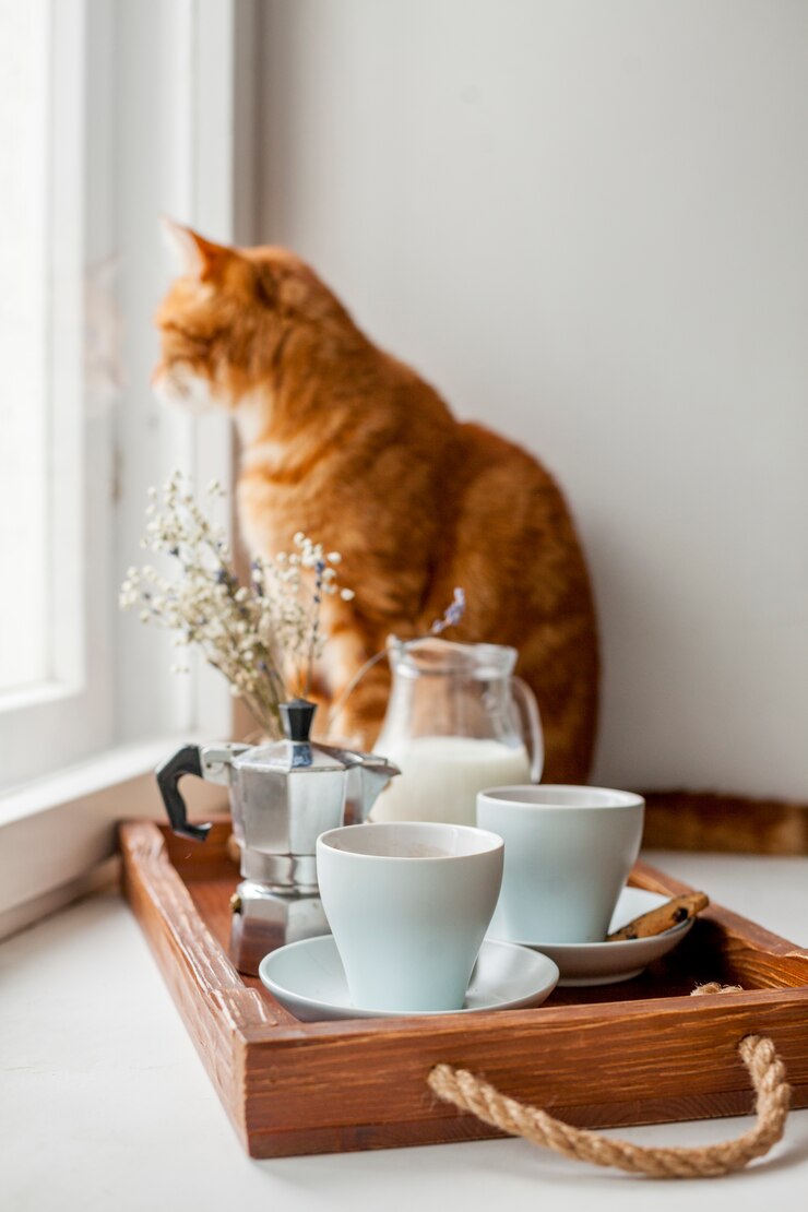Foto grátis bandeja de café da manhã com um gato