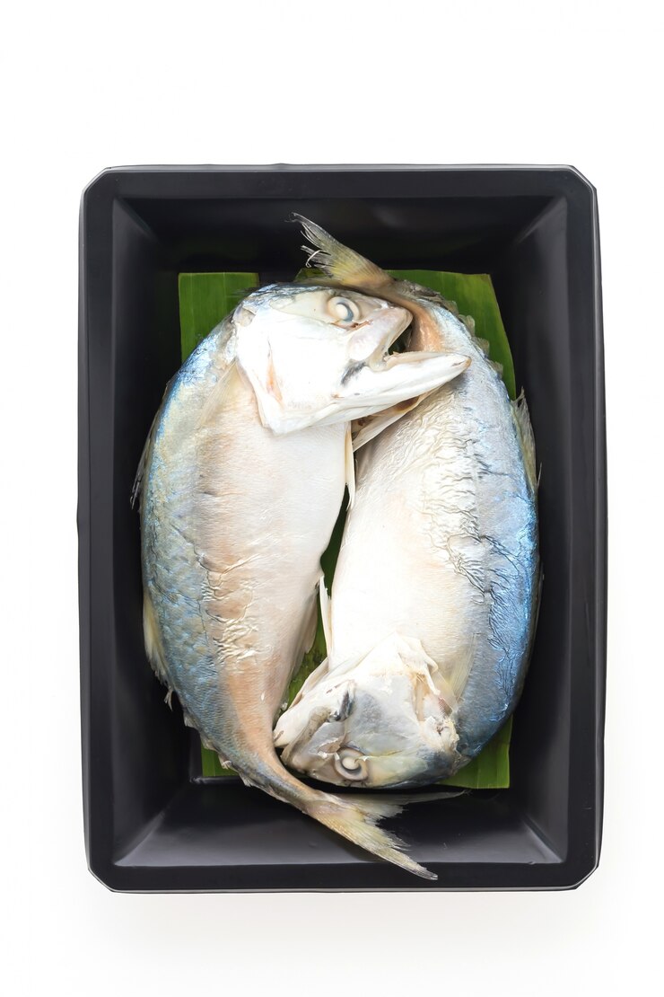 Foto grátis bandeja preta com dois peixes