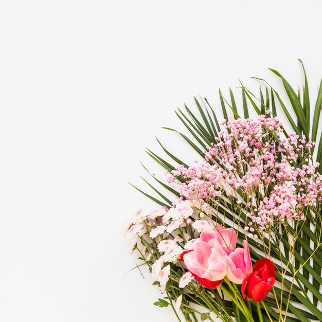 Bando de coloridas flores frescas e plantas