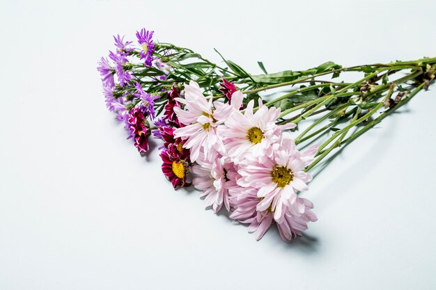 Bando de daises multicoloridos