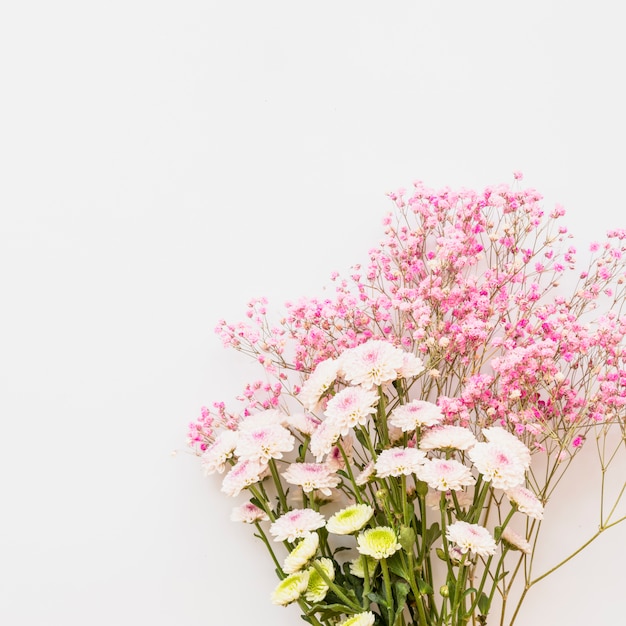 Bando de flores frescas em hastes