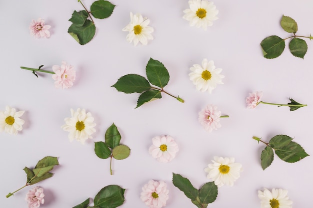 Bando de folhas e cabeças de flores