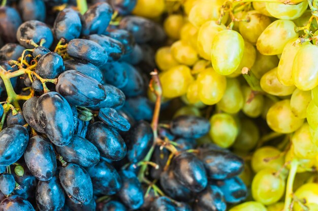 Bando de frutas de uvas pretas e verdes