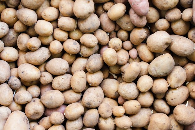 Bando de fundo de alimentos orgânicos batatas