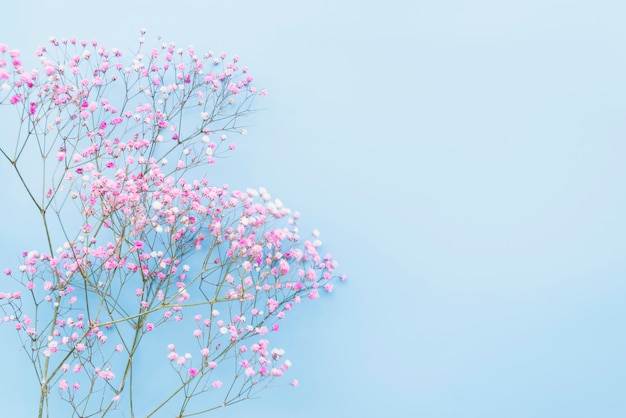 Bando de galhos de flor rosa