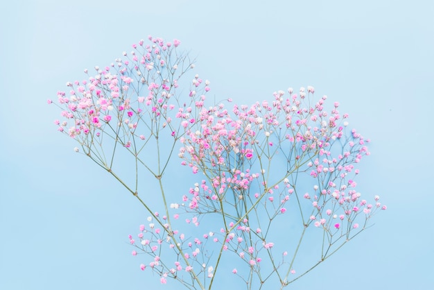 Foto grátis bando de galhos florais rosa concurso