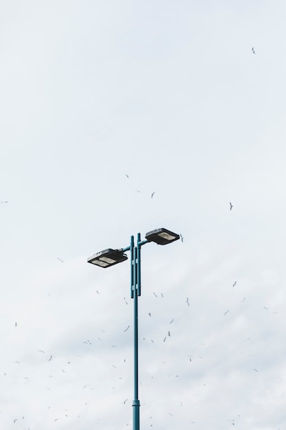 Bando de pássaros voando sobre a luz da rua contra o céu