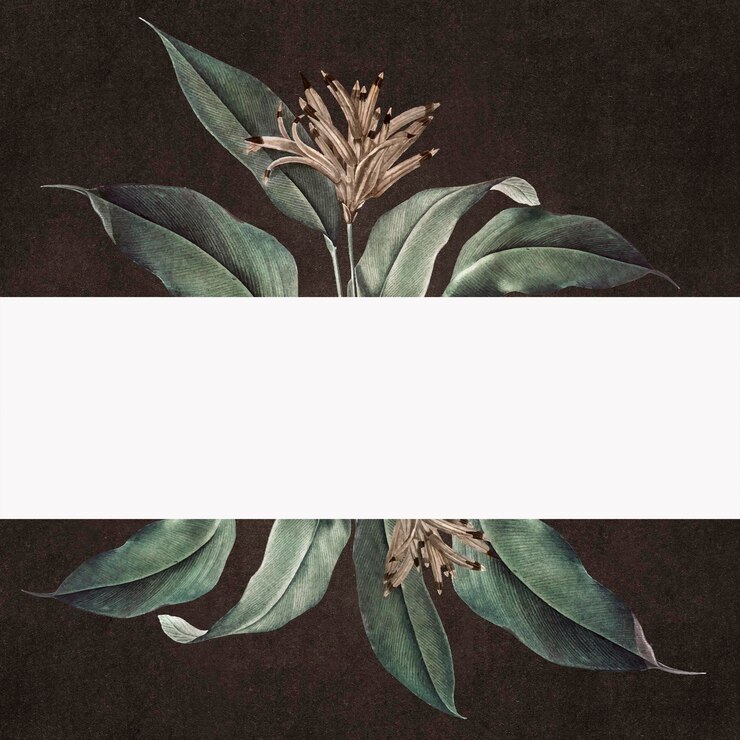 Foto grátis banner floral em uma parede preta