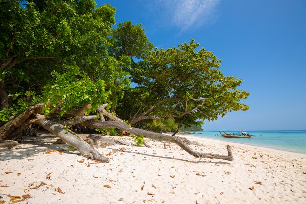 Barco de cauda longa na praia tropical, Krabi, Tailândia