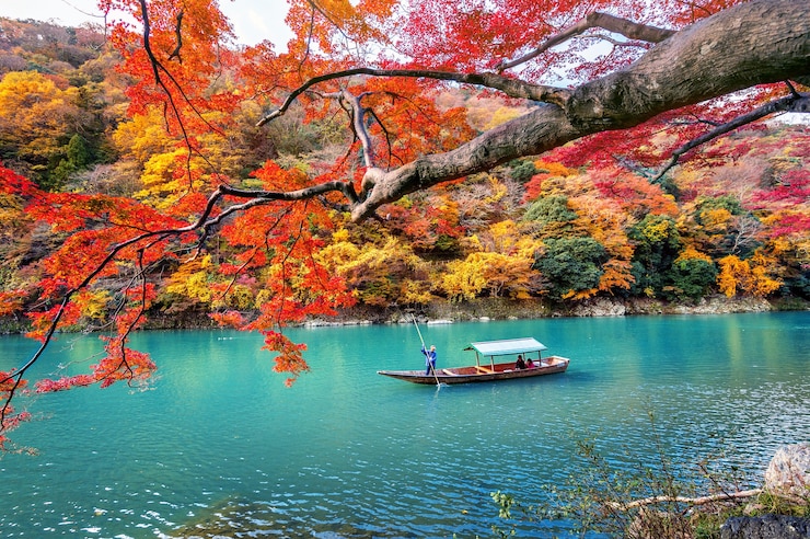 Foto grátis barqueiro rebatendo o barco no rio. arashiyama na temporada de outono ao longo do rio em kyoto, japão.